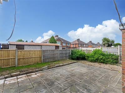 Picture 20